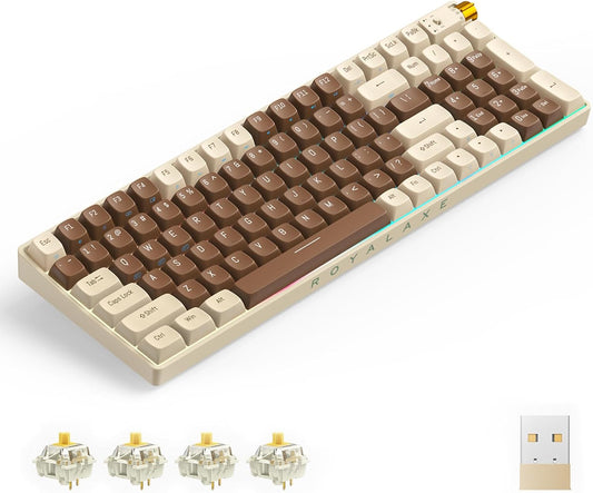 R100 96% Wireless Mechanical Keyboard with Gateron G Pro 3.0 Yellow Switches, Tri-Mode Connectivity (BT 5.0/2.4GHz/USB-C),Hot Swappable Custom Keyboard,RGB Light,Compatible with Windows & Mac