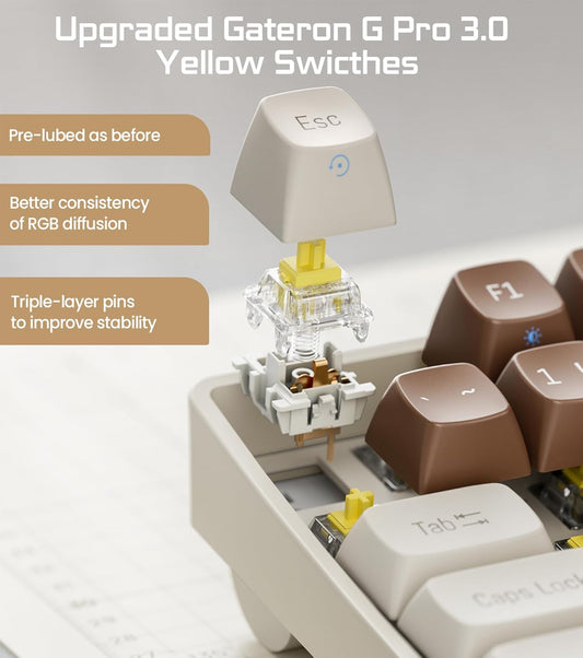 R100 96% Wireless Mechanical Keyboard with Gateron G Pro 3.0 Yellow Switches, Tri-Mode Connectivity (BT 5.0/2.4GHz/USB-C),Hot Swappable Custom Keyboard,RGB Light,Compatible with Windows & Mac